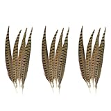 Fabricado en China Uikdjgu Toque de Naturaleza Aillo de Cuello Faisan Plumas 12 / Pcs, Natural