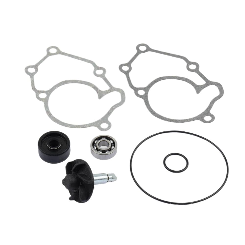 Kit Riparazione Pompa Acqua con Albero Girante Guarnizione e Set Guarnizioni per Motocicli 125cc Compatibile Con X-Max MT-125 YZF-R Modelli 2006-2020