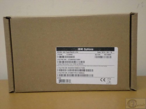 Amazon | レノボ・ジャパン旧IBM ServeRAID-M5200用 1GB Flash/RAID5