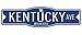 Kentucky Wildcats 4" x 17" Street Sign NCAA