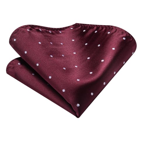 Image of Hi-Tie Silk Ascot for Men Self Tie Men's Cravat and Flower Lapel Pin Handkerchief Cufflinks Set for Wedding Party