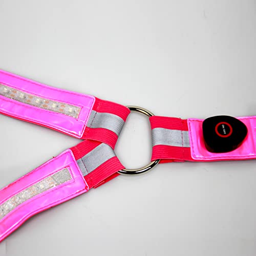 A&K L'ydia Led Horse Breastplate Collar-Usb Rechargeable, 3 Lighting Modes Adjustable Reflective Elastic Night Flashing Light Bar Harness For Equestrian Show (Red) #TOP2