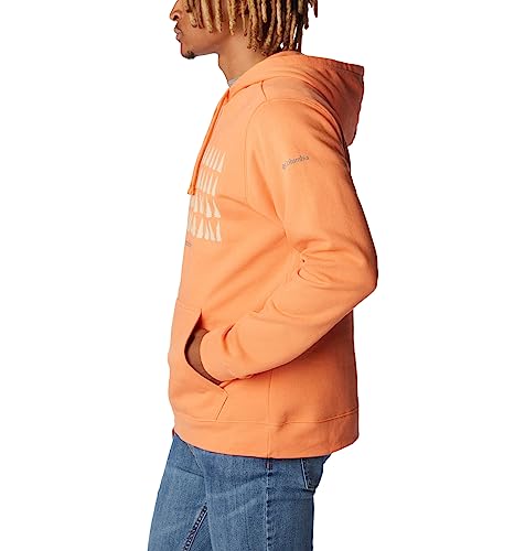 Image of Columbia mens Trek Hoodie