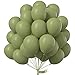 PartyWoo Sage Green Balloons, 50 pcs 12 Inch Boho Green Balloons, Matte Green Balloons for Balloon Garland Balloon Arch as Party Decorations, Birthday Decorations, Baby Shower Decorations, Green-F11
