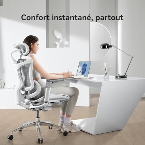 SIHOO Doro C300 Pro Chaise Bureau Ergonomique avec accoudoirs 6D Ultra Doux, Soutien Lombaire Dynamique et Ajustement de la Profondeur du siège pour Le Bureau à Domicile (Grigio), Expédiée en 2 Colis