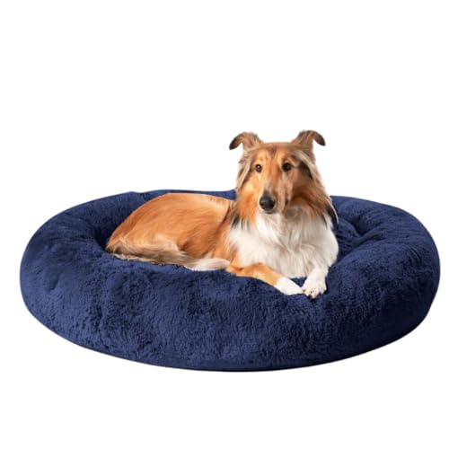 La mejor selección de Centro de Lavado Precio - solo los mejores. 47 Camita Bienestar | Cama Antiestrés para Perros 4 en 1, Funda Lavable y Removible, Memory Foam Ortopédico, Felpa Ultrasuave con Base Anti Derrapante, 100cm-Azul