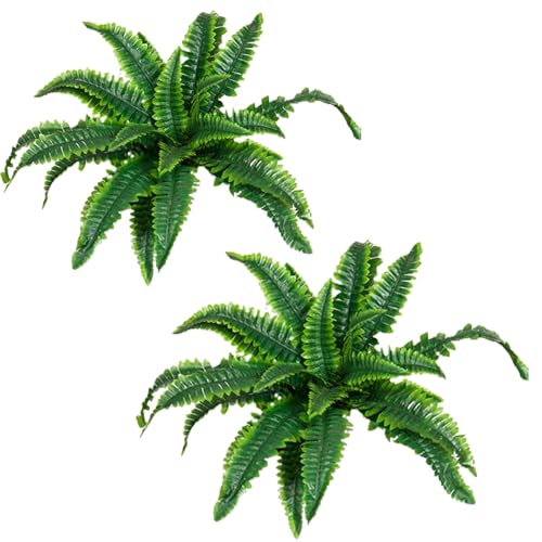 AUSECONEX lHtFCNV_ lH{XgV_A 2Zbg ԑƂ24̗t  O  ̑p