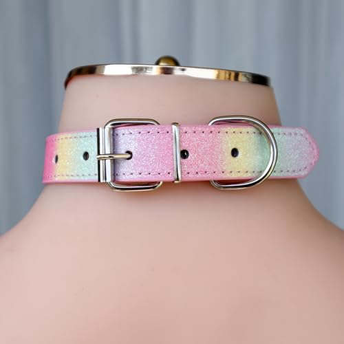 Leather Collar Chain Leash Set With Name Letters,Punk Gothic Rock Choker Necklace for Women Men Cosplay Party Gifts4