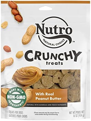 NUTRO Crunchy Dog Treats with Real Peanut Butter, 16 oz. Bag
