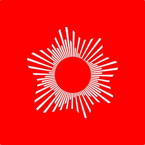 『Decoding Oblivion』のカバーアート