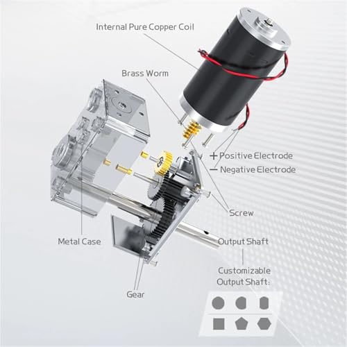Motor de CC de doble eje 12V con reductor de tornillo sin fin reversible 6