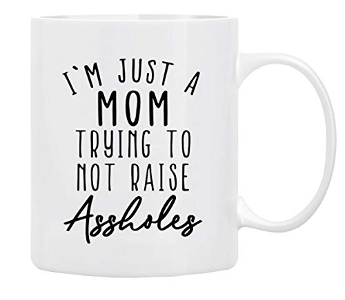 BLUE RIBBON Gifts for Mom Coffee Mug,l'm Just a MOM Trying to Not Raise Assholes, Funny Coffee, Wife and Son – Mug in Decorative Gift Box with Foam,11 oz – Gifts for Moms, Friends, First Mother’s Day