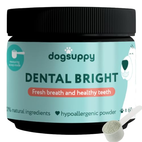 DogSuppy Dental Bright For Dogs - Fresh Breath & Healthy Gums & Clean Teeth Less Plaque 3-in-1 Dental Powder 100% Natural No Brushing Needed - For Small Medium & Large Dogs | 60 Scoops (90g)