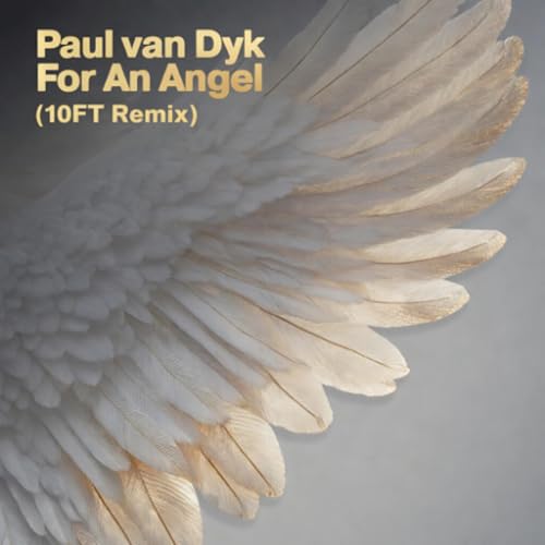 Paul Van Dyk - For An Angel (10FT Remix)