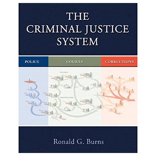 The Criminal Justice System