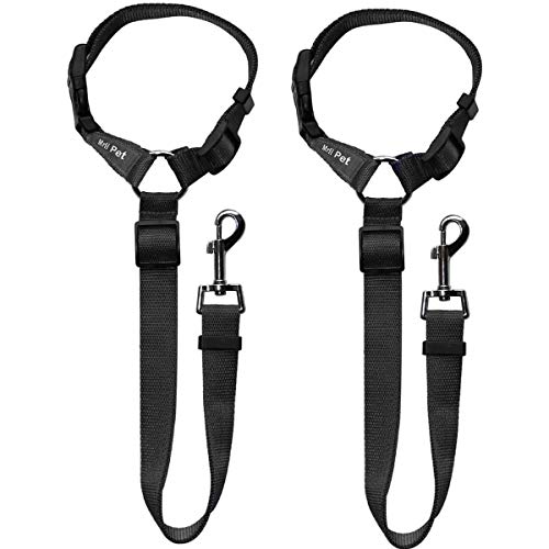 25 Best Dog Seat Belts of 2024 Pango Pets