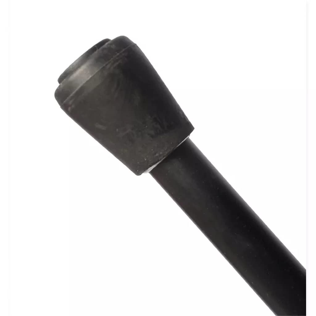 Gold Leone Handle Stick Walking Stick for uomo 2022 Party Walking Canne Donne Donne Bastoncini da passeggio