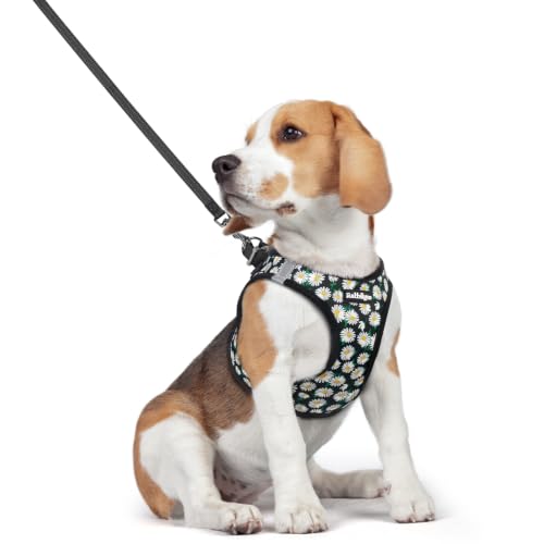 Image of rabbitgoo Dog Harness Medium Sized and Leash Set, Step-in Puppy Pet Vest