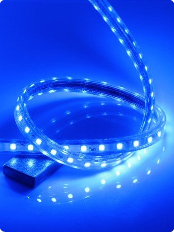 Tira LED Flexible CBConcept 90FT Azul 120V Alta Potencia miniatura 2