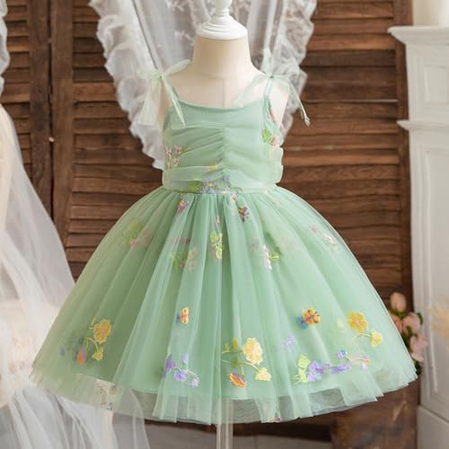 TTYAOVO Toddler Baby Dress Princess Party Tulle Dresses2