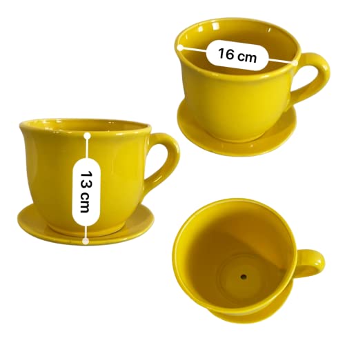 Macetas, Home Imagen adicional