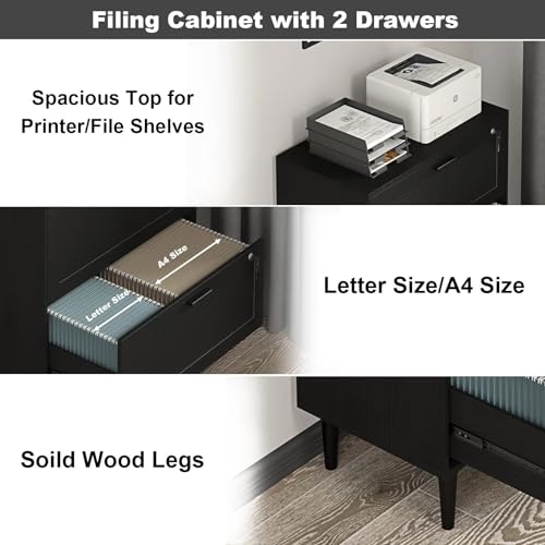 CQ Hi-Q Furniture 2 Drawer File Cabinet, Lateral File Cabinet with Lock, Rattan Wood Filing Organization Cabinet for Home Office, Black - Image 5