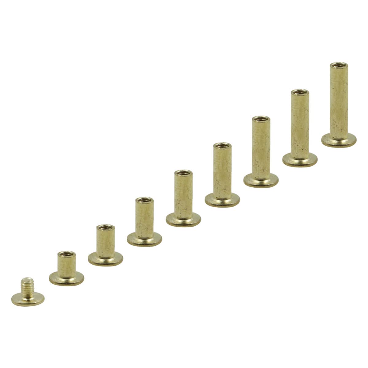 Viti per Rilegatura Chicago ottone - 80 Pezzi 8 misure M5 x 6-20 mm, chiodi rivetti a vite in metallo chiodo, pulsante con testa croce, kit di cintura pelle, chiodi, portafoglio, decorazione libri