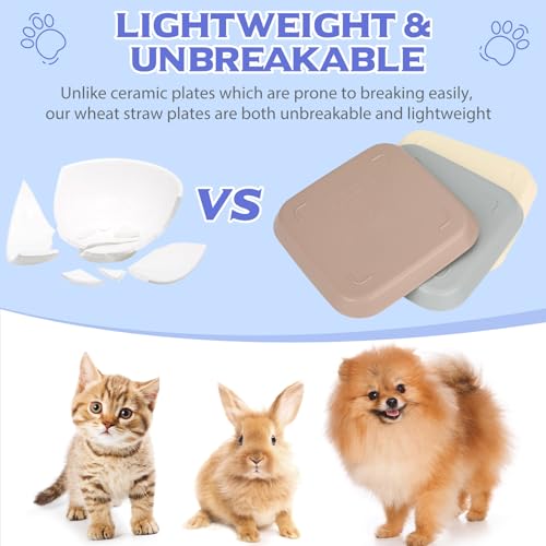 Aevcvok 10 Stück Katzennapf, Futternapf Katze Flach, Katzenfutter Napf, Quadrat Katzenschüssel, Katzen Futternapf Bunte, Katzenteller, Katzen Napfset für Trockenfutter und Nassfutter