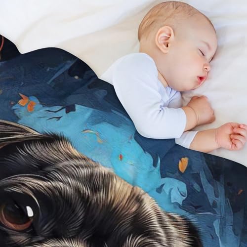 Lit moelleux et chaud pour chien avec couverture polaire douce