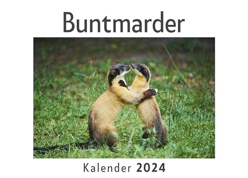 Buntmarder (Wandkalender 2024, Kalender DIN A4 quer, Monatskalender im Querformat mit Kalendarium, Das perfekte Geschenk)