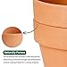 POTEY Terracotta Shallow Planters for Succulent - 6.1 Inch Cactus Plant Containers Indoor Garden Bonsai Pots with Drainage Hole - Set of 2, Unglazed