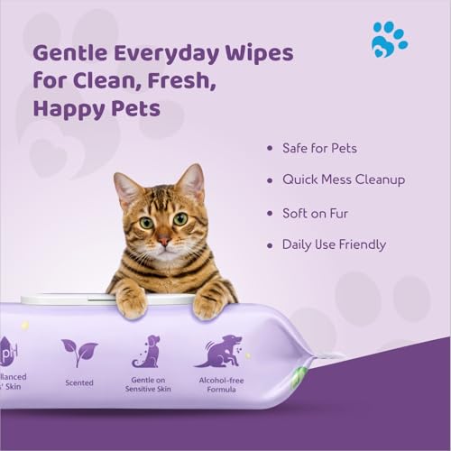 Image of Petoska Pet Wipes Pack of 2 for Dogs, Cats & All Pets - 80 Wipes | pH Balanced, Alcohol-Free, Gentle on Sensitive Skin | Enriched with Aloe Vera, Oatmeal & Lavender | Antimicrobial, No-Rinse Formula