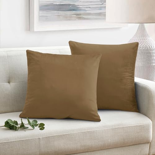 Oxford Homeware Velvet Cushion Covers 45 x 45 (Pack of 2) Square Throw Pillow Cases Soft Decorative Cushion Cover for Bedroom Living Room with Invisible Zipper (Brown, 18 x 18 Inch (Plain))