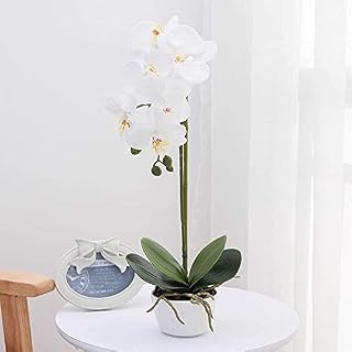 RENATUHOM Orchid Plant Fake Flowers Artificial Orchid In A Pot Faux Flowers Decor Indoor White Orchid Flower Arrangements For Home Office Wedding Party Decoration