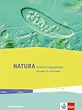  Natura Biologie Einführungsphase. Ausgabe Niedersachsen: Schülerbuch Klasse 11 (Natura Biologie. Ausgabe für Niedersachsen ab 2018)