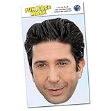 Party People 1 x David Schwimmer - Celebrity Face Mask - Ready To Wear - David S