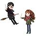 Wizarding World Harry Potter, 8-inch Harry Potter & Hermione Granger Dolls & Accessories Gift Set, over 20 Pieces, Kids Toys for Ages 6 and up