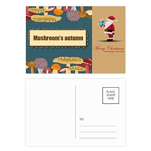 Cartes postales champignon bleu lot de 20 messages poétiques et doux