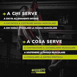 Ramificati+ 2:1:1 Vitamin B Loaded - Amminoacidi Ramificati per Sostenere la Sintesi Proteica - Formato: 100 Compresse