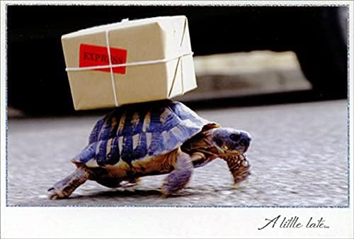 Pictura Turtle Carrying Express Package on Shell Belated Birthday Card