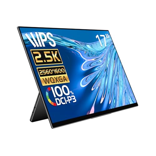 Amazon.co.jp: EHOMEWEI モバイルモニター 17インチ 144Hz 2.5K