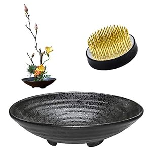 WANDIC Blumen Igel mit Keramiktopf