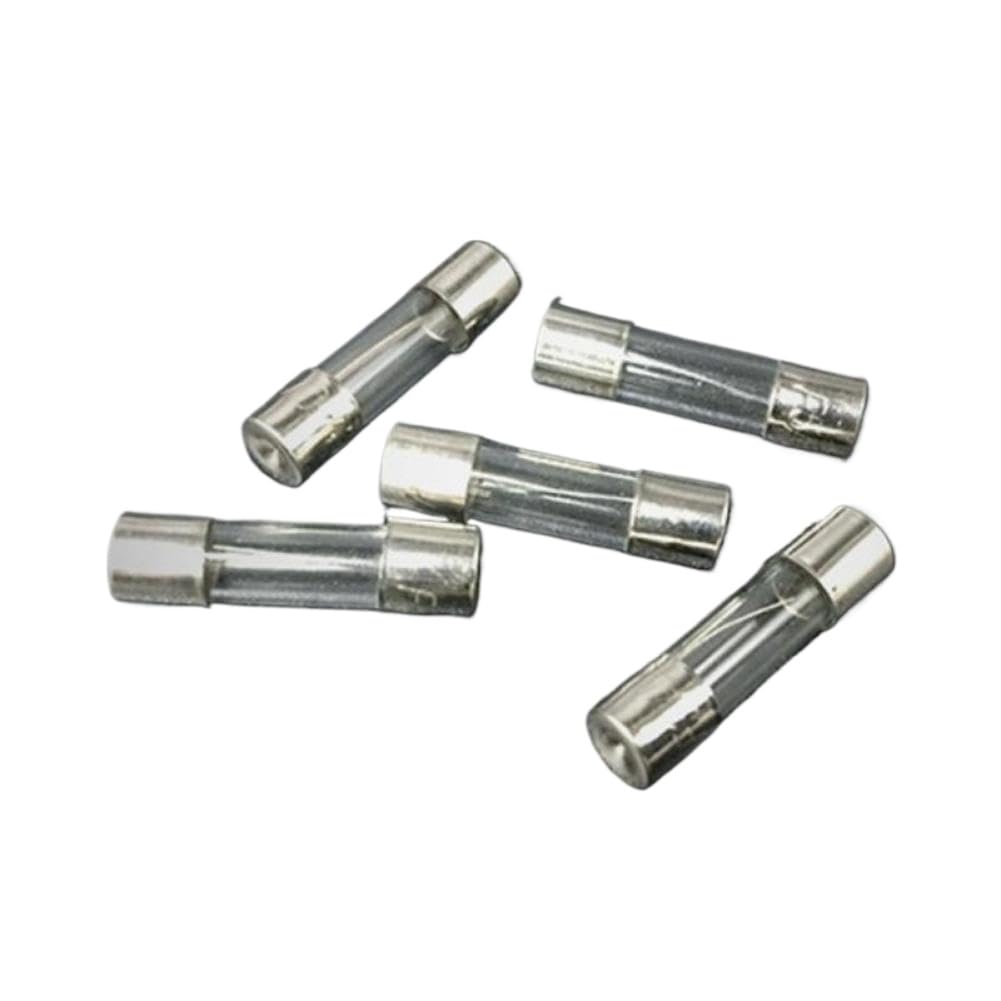 Feine Glasrohrsicherungen 5 x 20 mm, 100-teiliges Set, kompatibel mit Elektronik