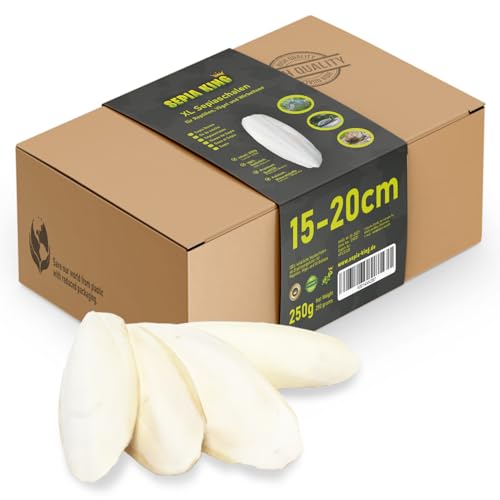 Sepia King Sepiaschalen XL Box 250g 15-20cm | Natürliche Kalzium und Mineralstoff-Quelle | Sepia Schalen - Futter für Reptilien Schildkröten Bartagame Vögel Terrarium Zubehör