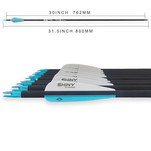 image for TIGER ARCHERY 30Inch Carbon Arrow Practice Hunting Arrows with Removab