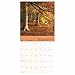 Carousel Worldwide, National Trust Seasons 2026 Square Wall Calendar