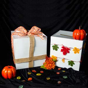 Tytroy Elegant Large 10" White Money Box Keepsake Wedding Reception Decoration Wishing Well Party Favor Ceremony Raffle Tickets (1 Pc) #TOP1