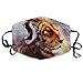 Produktbild shifeiwanglu Unisex Mundmaske,Lion and Tiger Face Printed Mouth Masks Unisex Masks Reusable Face Mask