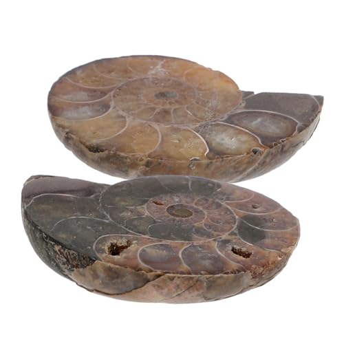 [TEHAUX] 2L̉ W y_g AiCg VRXCX Ȋwp LAu z CeA j̎q̎ql