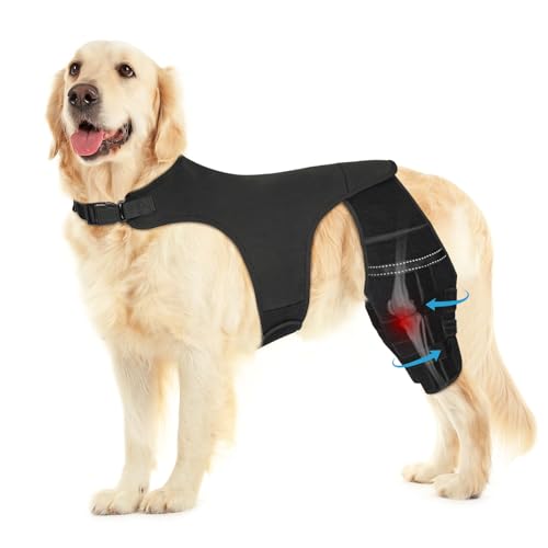 Image of Dog Knee Brace for Torn ACL Hind Leg, Adjustable Dog Leg Braces for Back Leg with 4 Metal Stabilizers Helps with Torn CCL, Luxating Patella, Ligament Injuries, Hip Dysplasia,XL